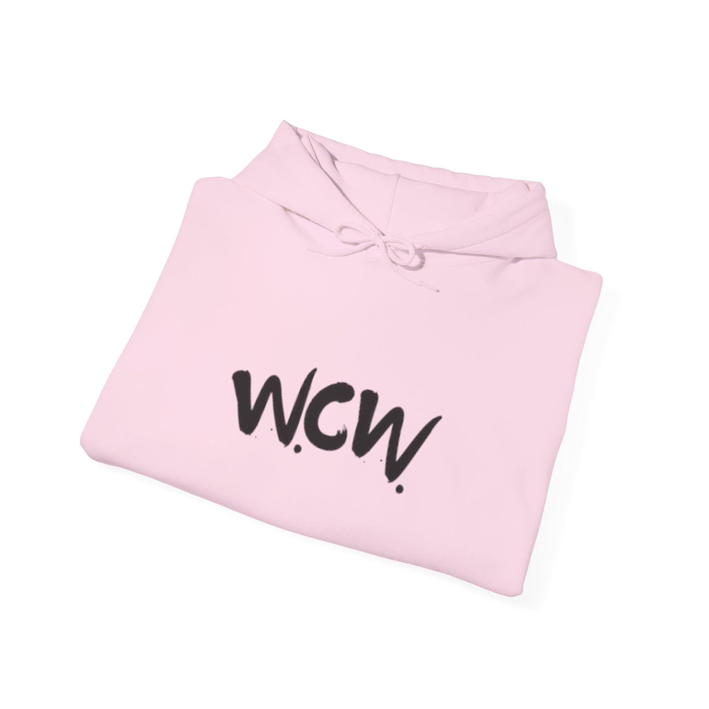 Women Celebrating Women Hoodie