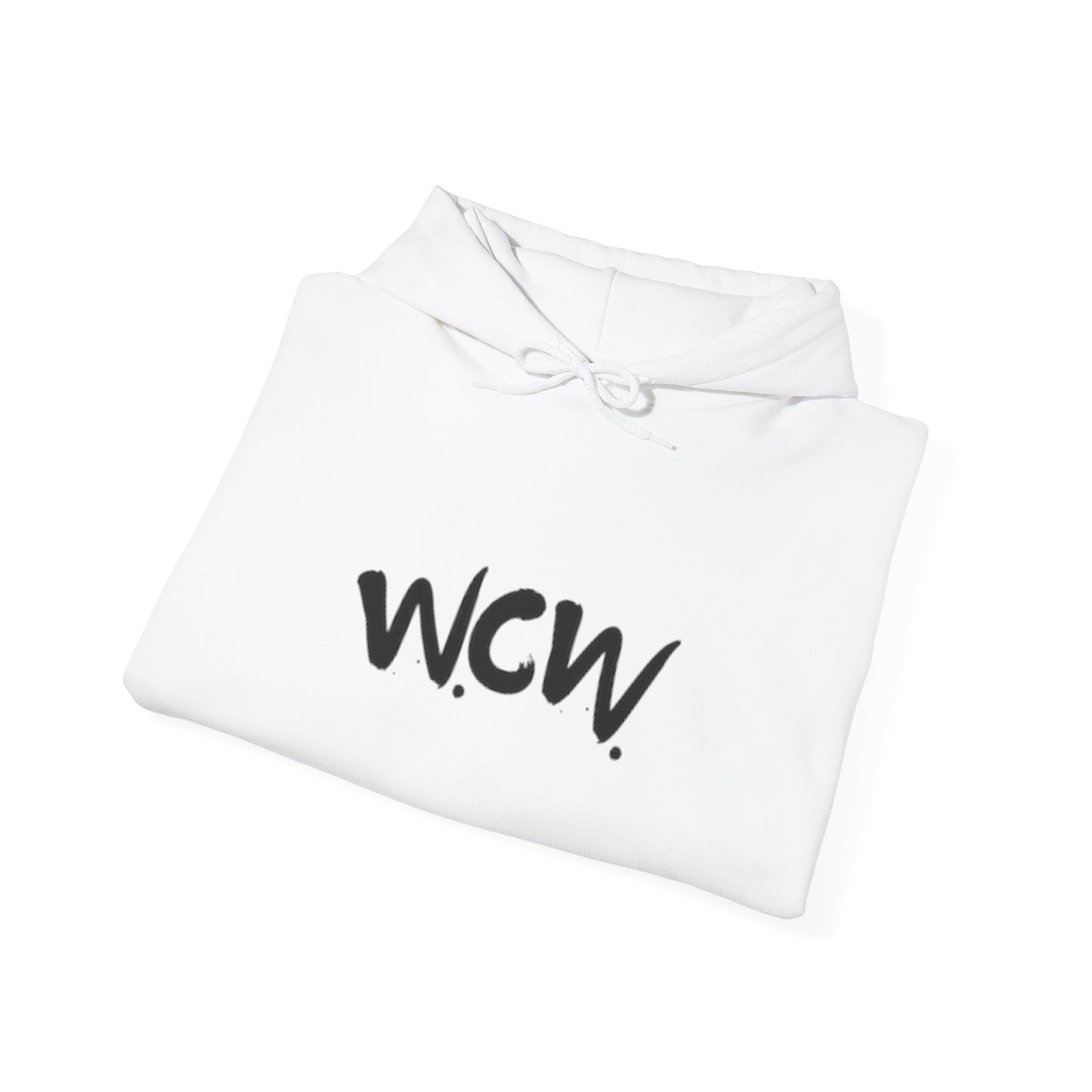 Women Celebrating Women Hoodie