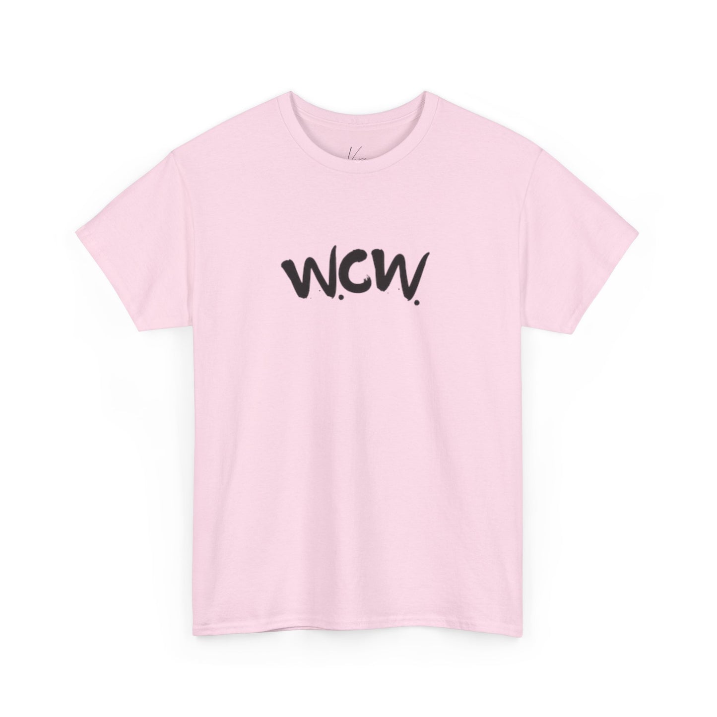 Women Celebrating Women T-Shirt